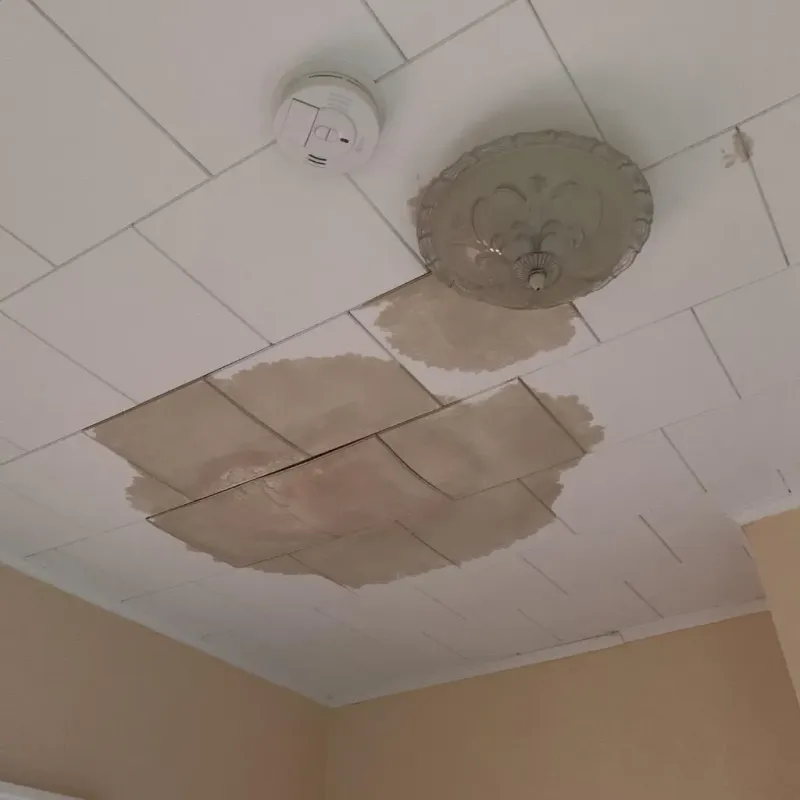 Ceiling Water Damage Repair in Midway, LA