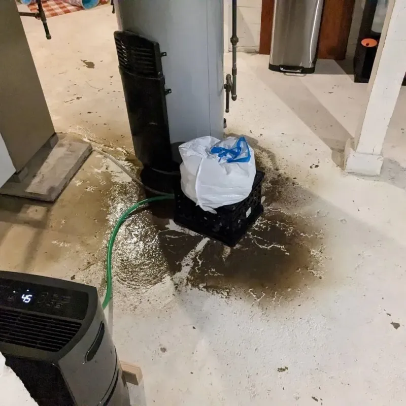 Sewage Backup Cleanup Service in Midway, LA